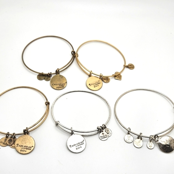 ๐๏ธ FREE ADD ON ALEX & ANI Bracelet Choice - Picture 2 of 7